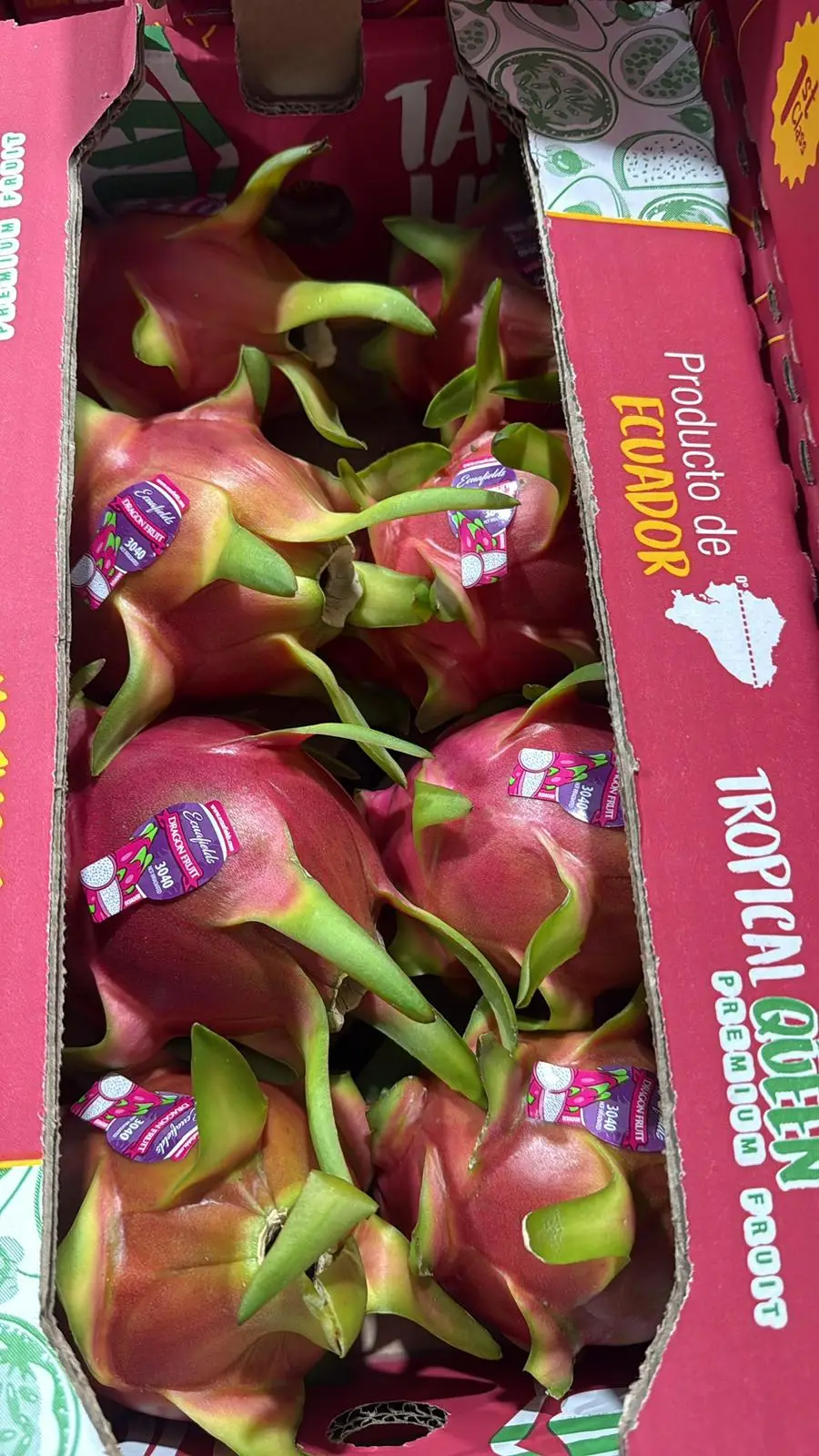Red Dragon Fruit 4
