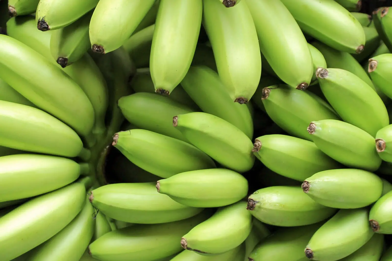 Baby Banana 2