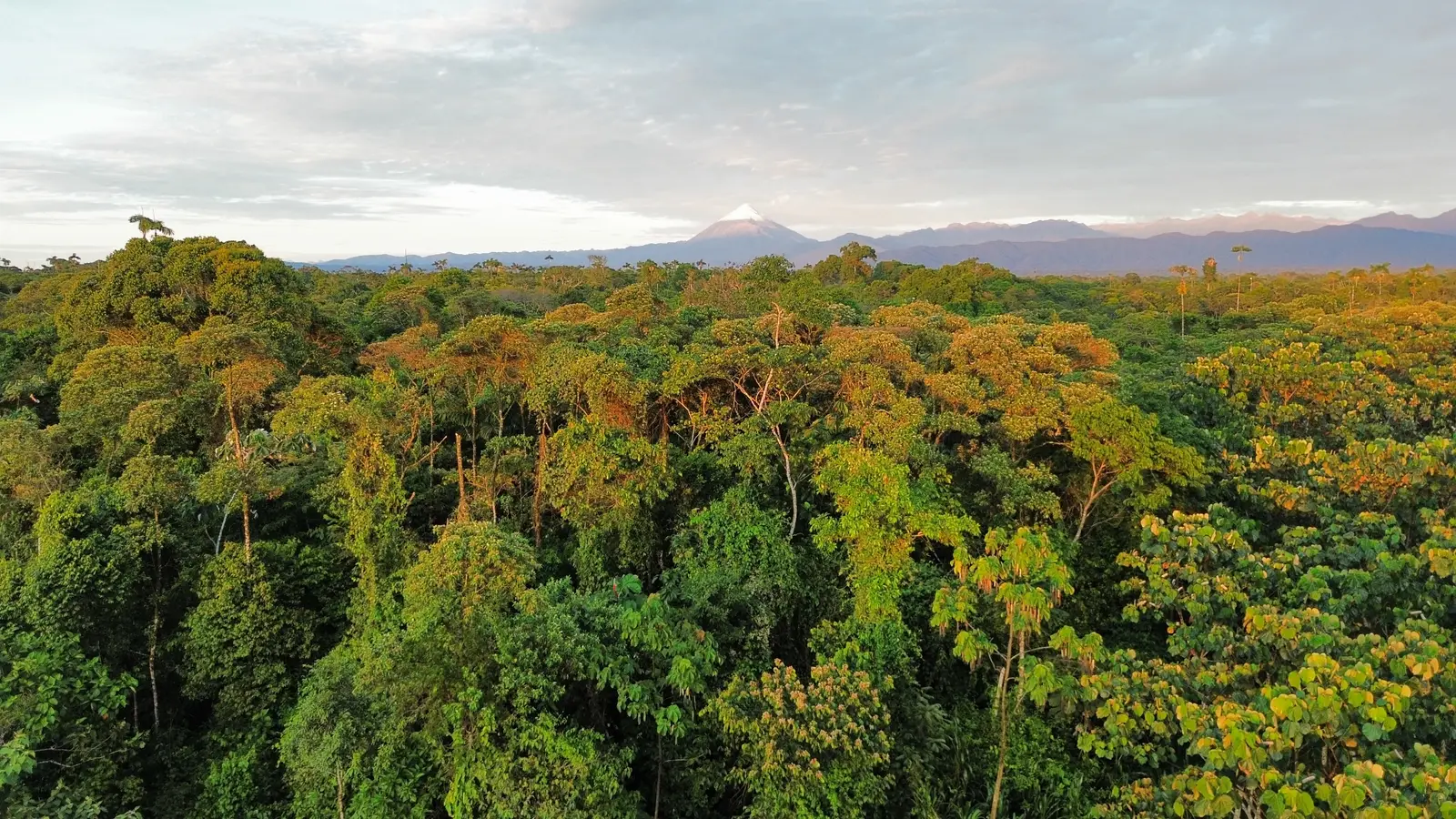Ecuadorian Farm Landscape