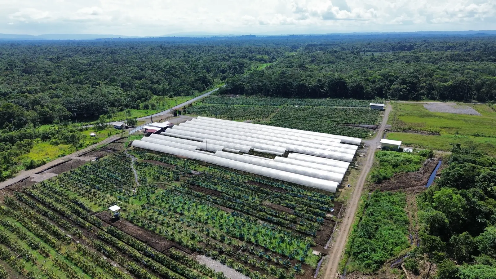 Farm Overview