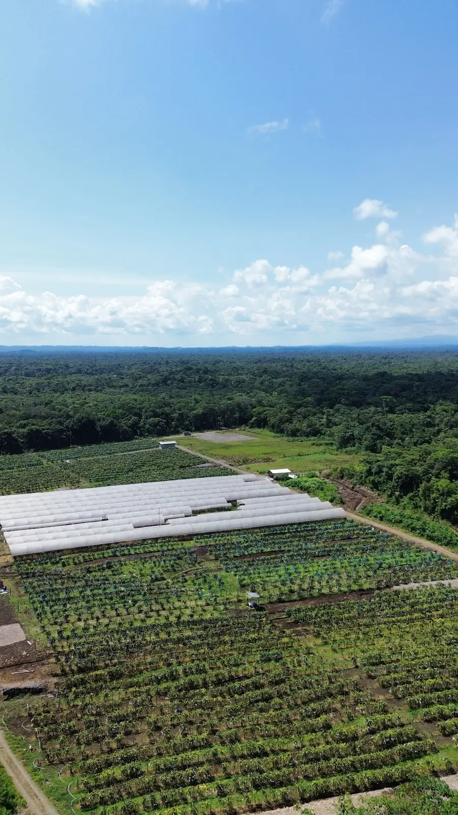 Farm Aerial View